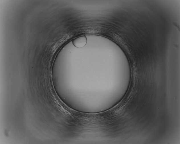 X0000102030721200807181006