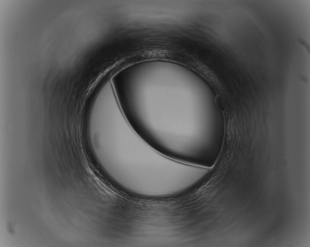X0000102030722200807181006