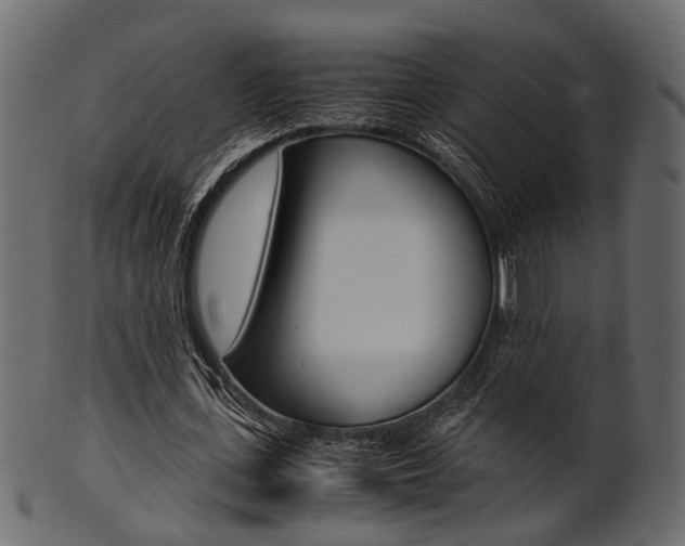 X0000102030723200807181006