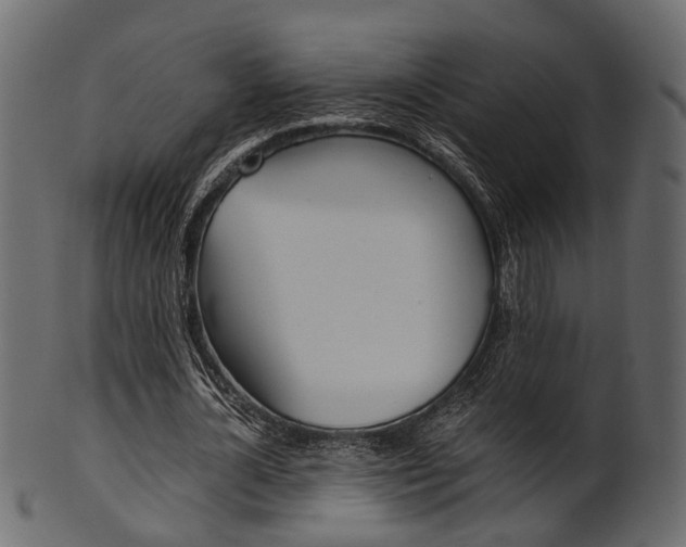 X0000102030724200807181006