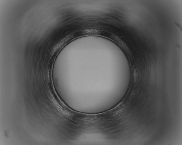 X0000102030725200807181006