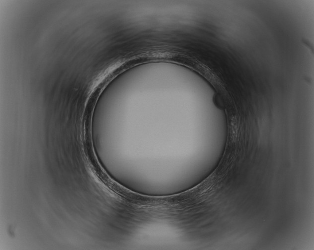 X0000102030726200807181006