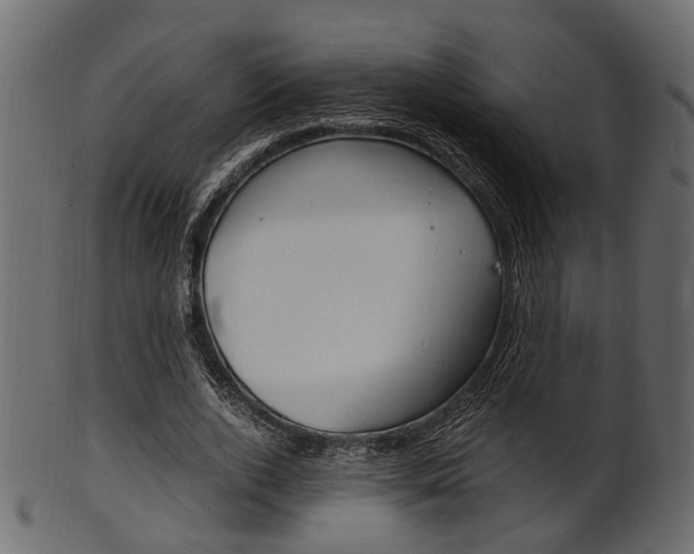 X0000102030728200807181006