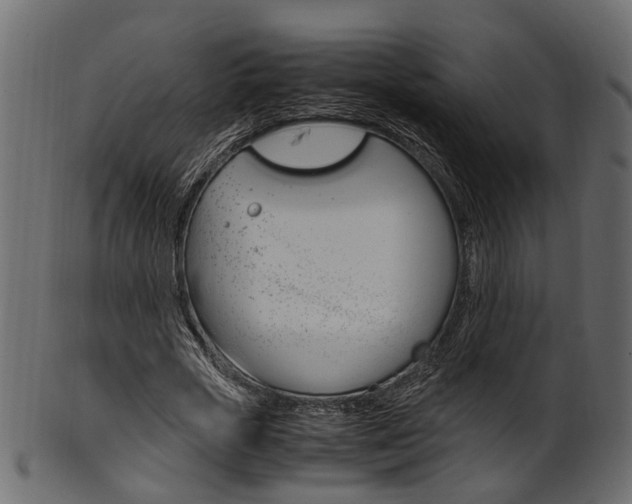 X0000102030729200807181006