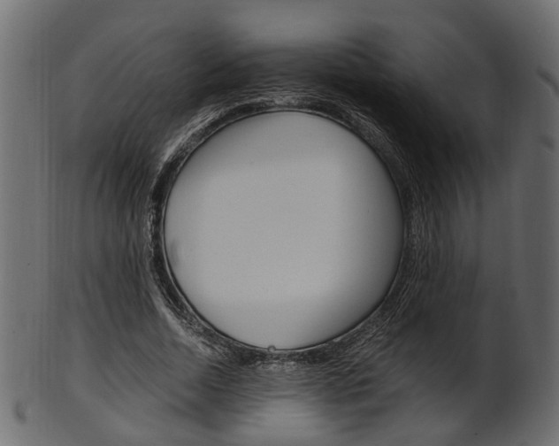 X0000102030730200807181006