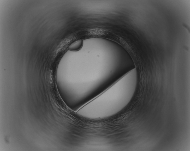 X0000102030731200807181006
