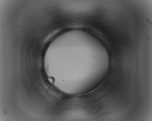 X0000102030732200807181006