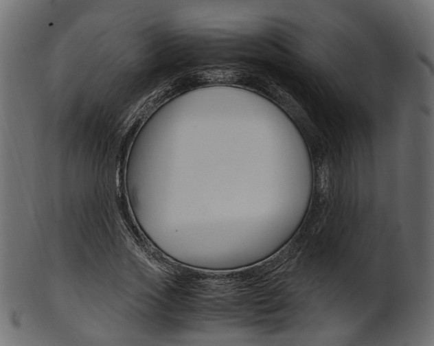 X0000102030733200807181006