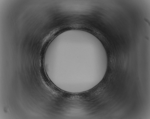 X0000102030734200807181006