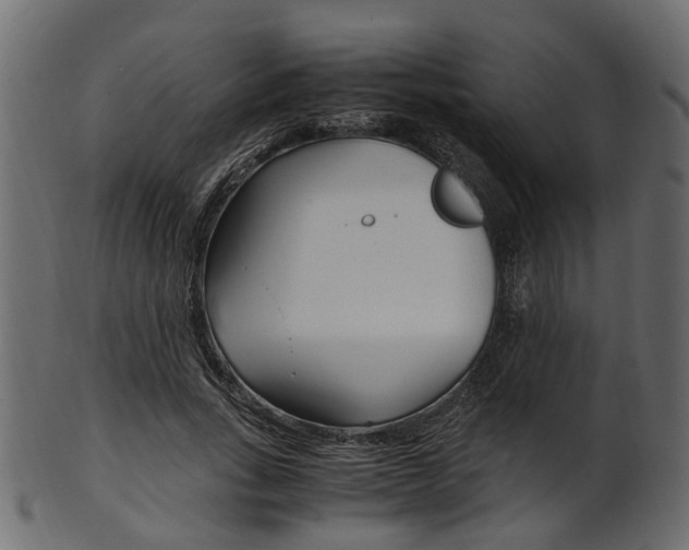 X0000102030735200807181006