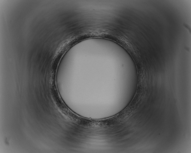 X0000102030736200807181006
