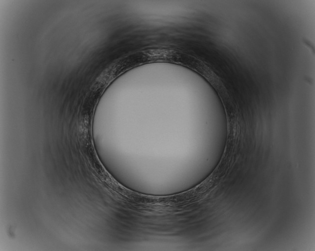 X0000102030737200807181006