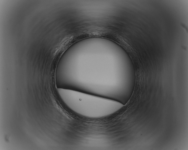 X0000102030738200807181006