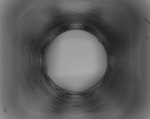 X0000102030741200807181006