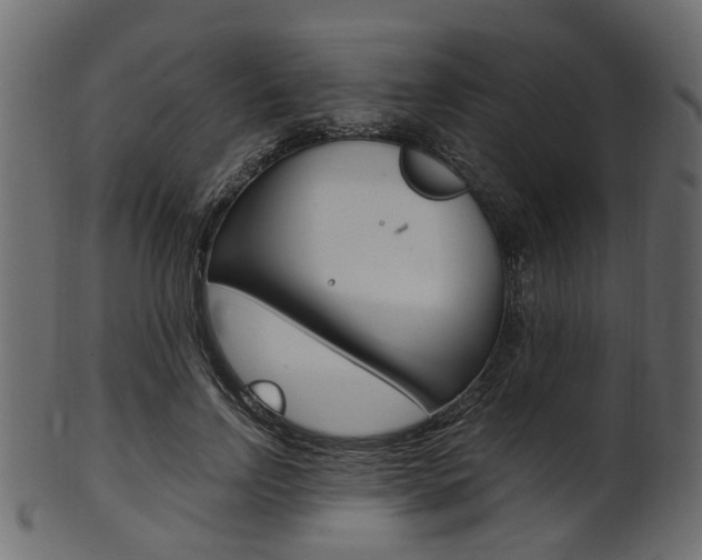 X0000102030742200807181006