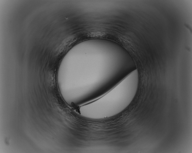 X0000102030743200807181006