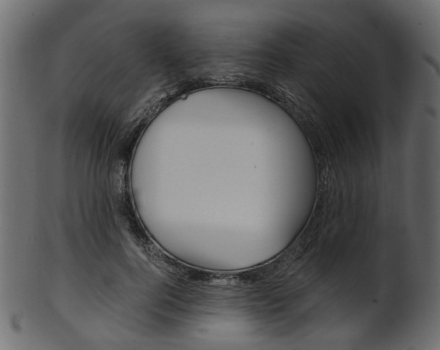 X0000102030744200807181006