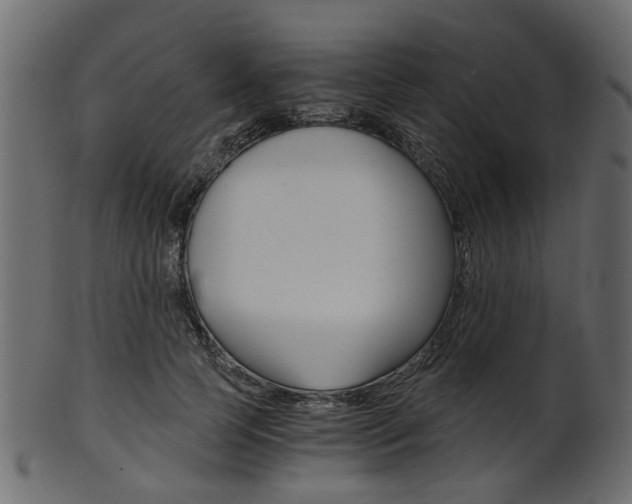 X0000102030745200807181006