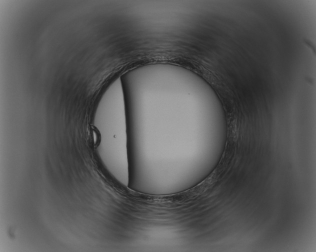 X0000102030746200807181006