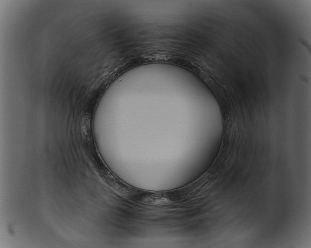 X0000102030747200807181006
