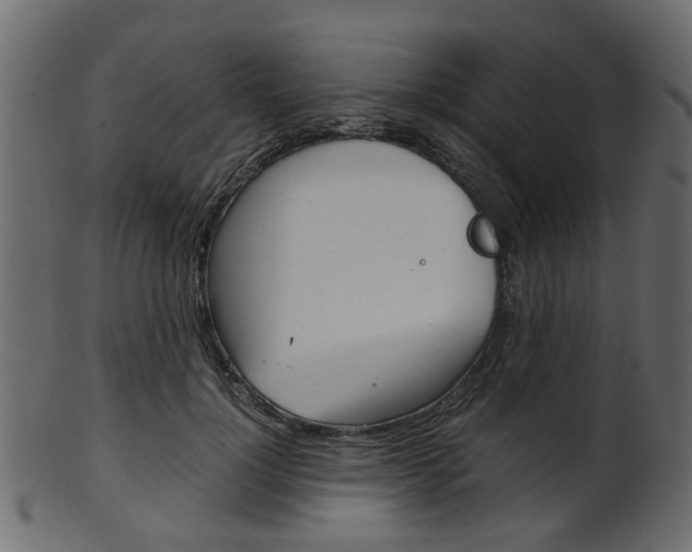 X0000102030748200807181006