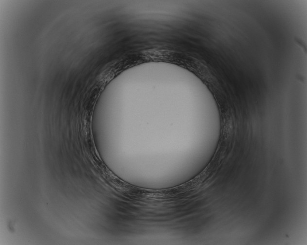 X0000102030749200807181006