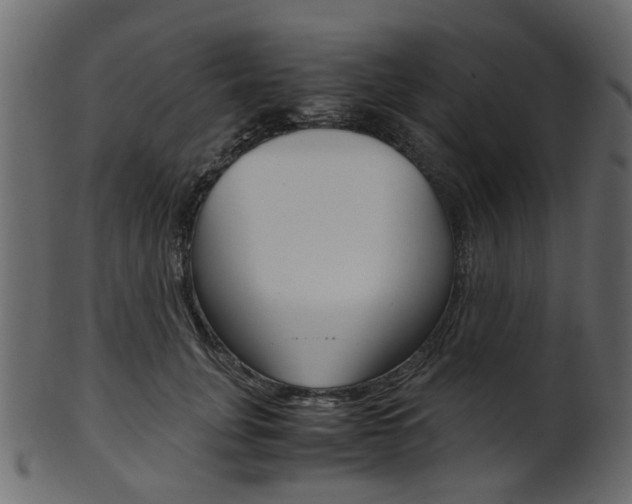 X0000102030751200807181006