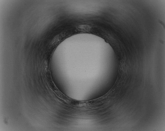 X0000102030752200807181006