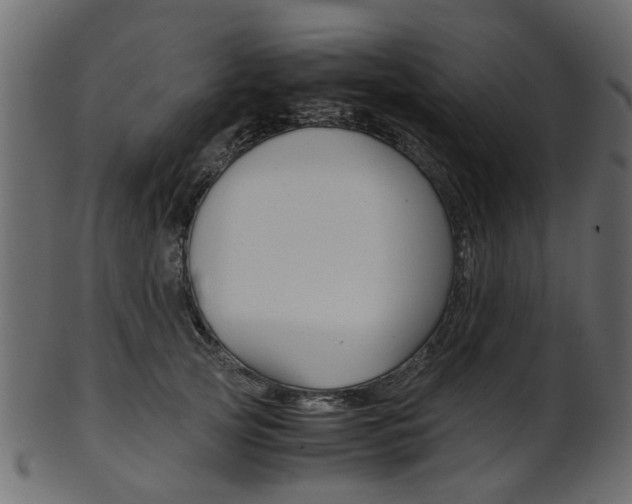 X0000102030753200807181006