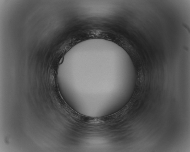 X0000102030754200807181006