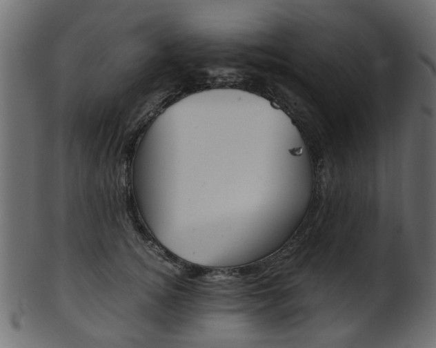 X0000102030756200807181006