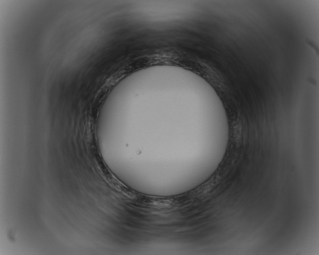 X0000102030757200807181006