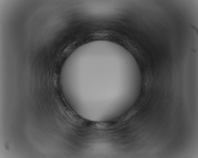 X0000102030758200807181006