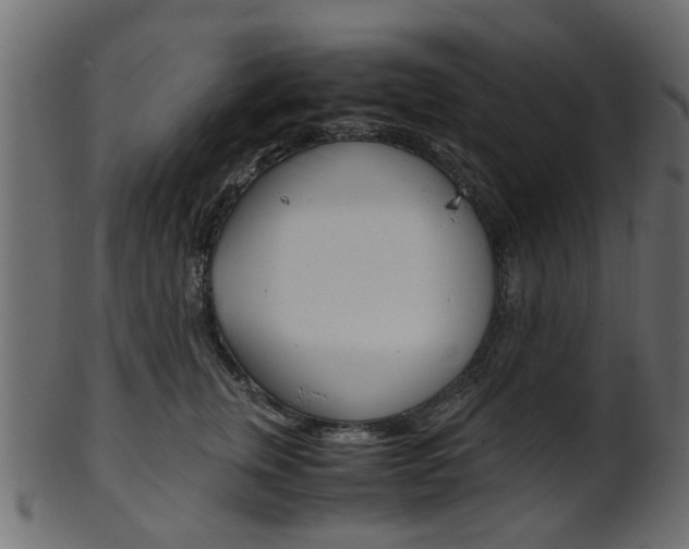 X0000102030759200807181006