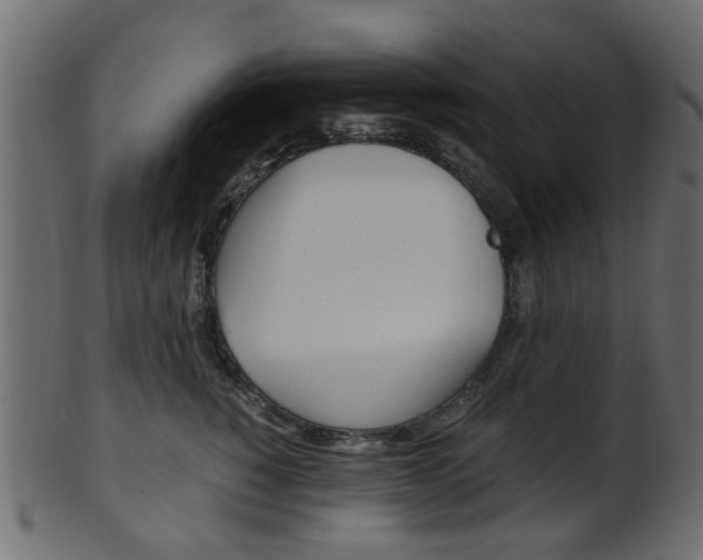 X0000102030760200807181006