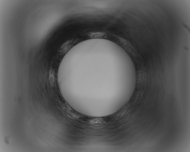 X0000102030761200807181006