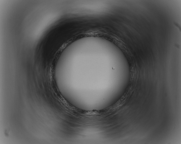 X0000102030762200807181006