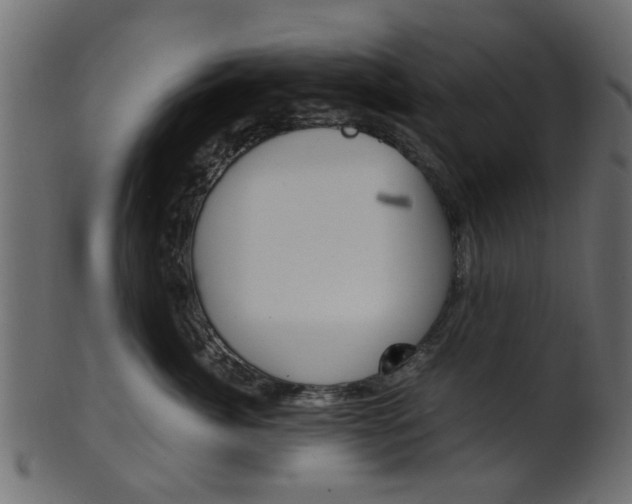 X0000102030764200807181006