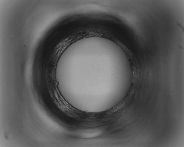 X0000102030765200807181006