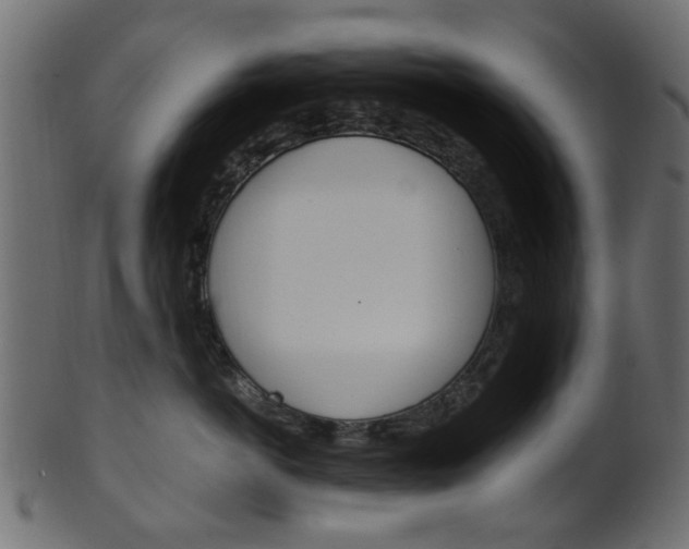 X0000102030766200807181006