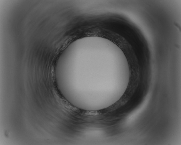 X0000102030767200807181006