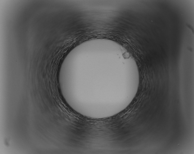 X0000102030769200807181006