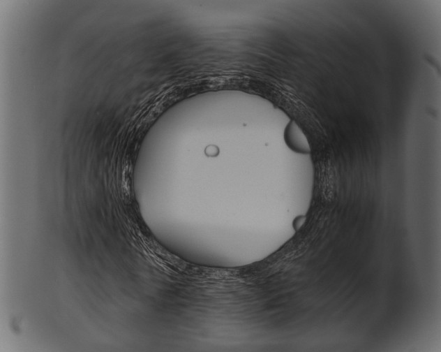 X0000102030770200807181006