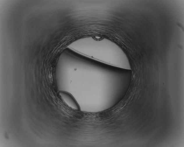 X0000102030771200807181006