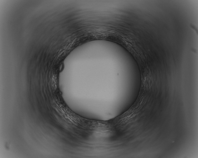 X0000102030772200807181006