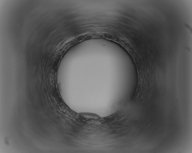 X0000102030773200807181006