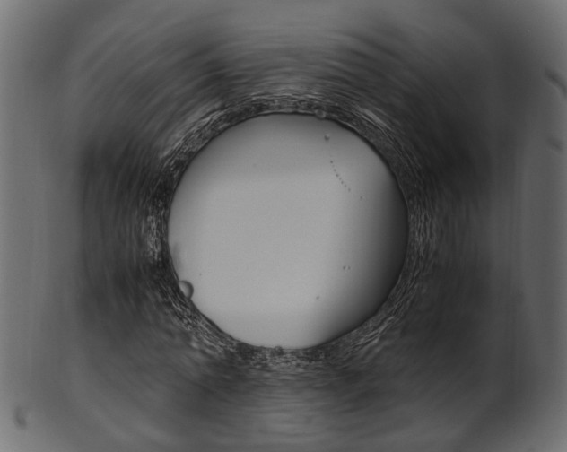 X0000102030774200807181005
