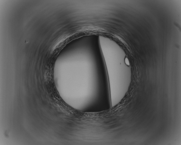 X0000102030775200807181005