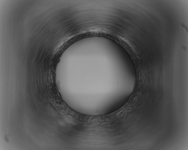 X0000102030776200807181005