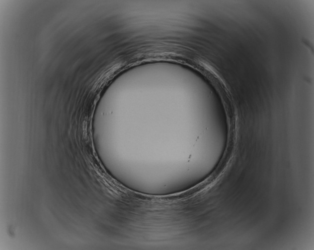 X0000102030777200807181005